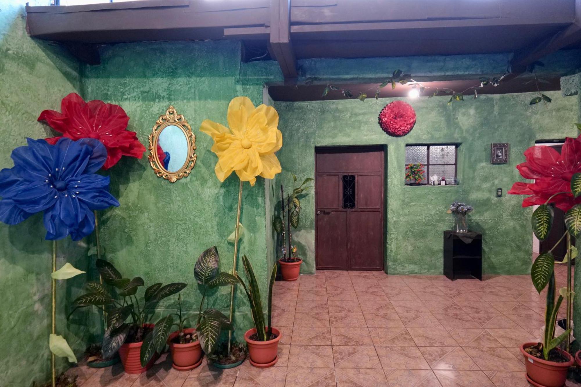 Wonderland Hostel Antigua Exterior photo